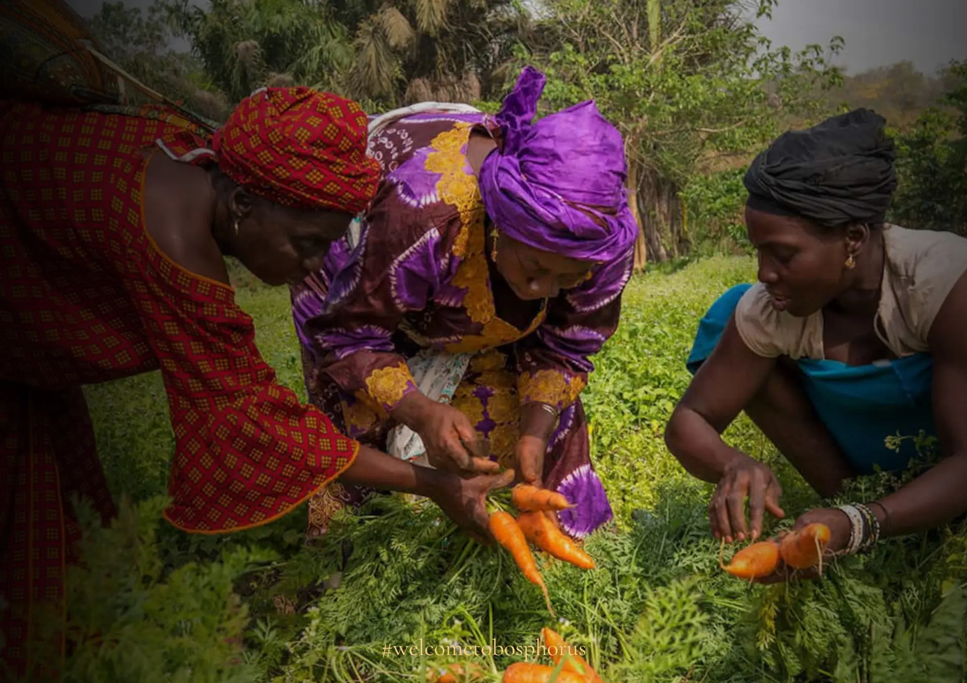 Food and Agriculture Organization